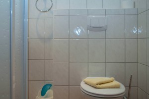 Badezimmer mit WC im Sonnenhus Rügen Unterkunft im Ostseebad Sellin